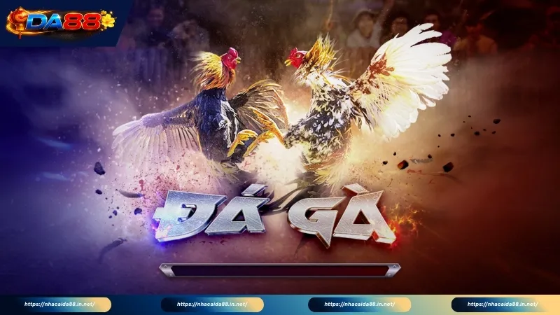 Giới thiệu sơ lược về sảnh cược đá gà trực tiếp DA88